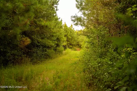 Co Rd 4300, Union, MS 39365 photo 55