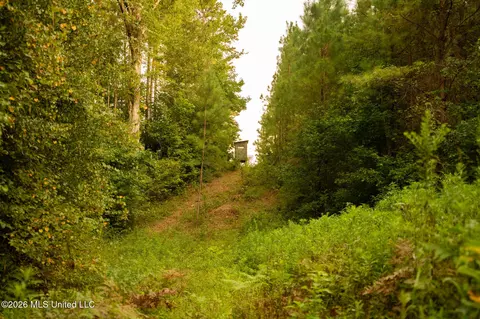 Co Rd 4300, Union, MS 39365 photo 66
