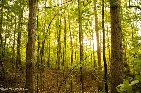 Co Rd 4300, Union, MS 39365 photo 46