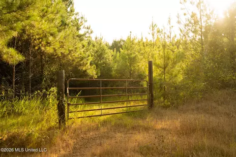 Co Rd 4300, Union, MS 39365 photo 14