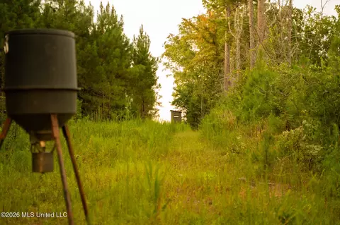Co Rd 4300, Union, MS 39365 photo 67