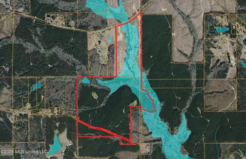 Co Rd 4300, Union, MS 39365 photo 69