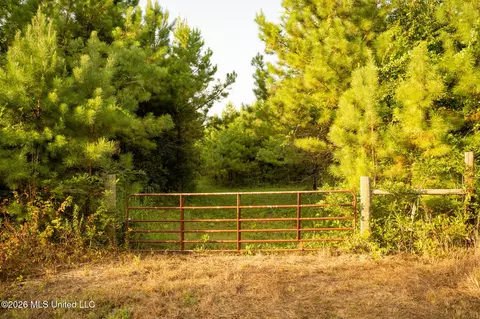 Co Rd 4300, Union, MS 39365 photo 12