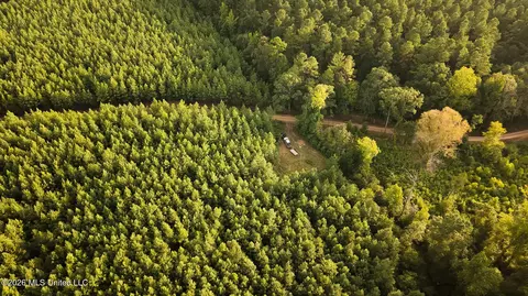 Co Rd 4300, Union, MS 39365 photo 20