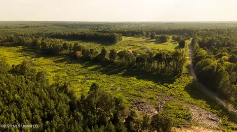 Co Rd 4300, Union, MS 39365 photo 23