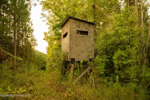 Co Rd 4300, Union, MS 39365 photo 31