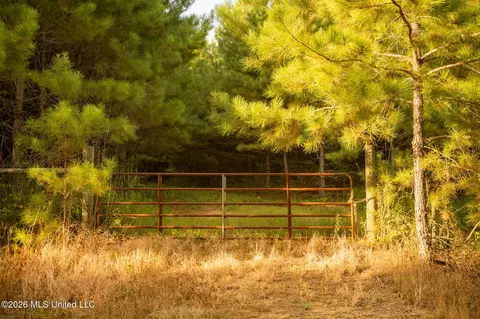 Co Rd 4300, Union, MS 39365 photo 16