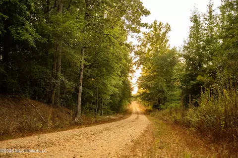 Co Rd 4300, Union, MS 39365 photo 50