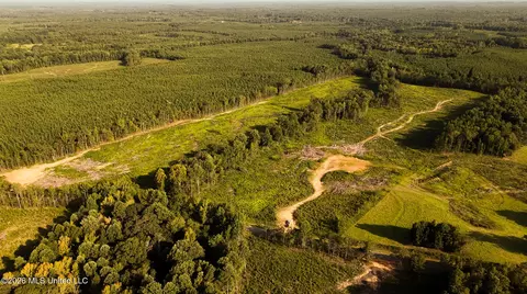Co Rd 4300, Union, MS 39365 photo 27