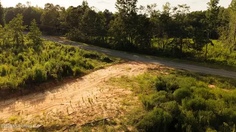 Co Rd 4300, Union, MS 39365 photo 53