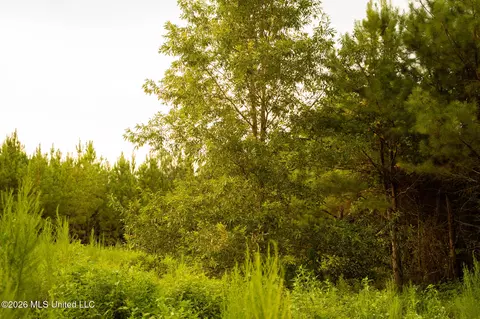 Co Rd 4300, Union, MS 39365 photo 65