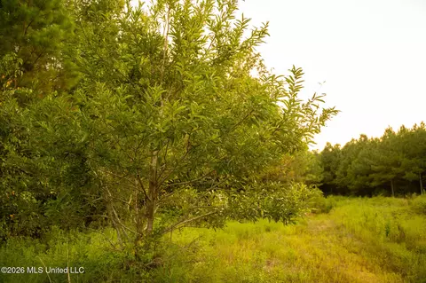 Co Rd 4300, Union, MS 39365 photo 61