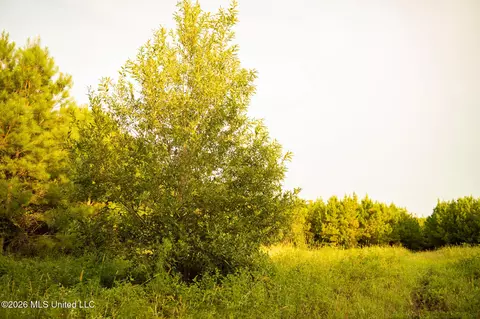 Co Rd 4300, Union, MS 39365 photo 34