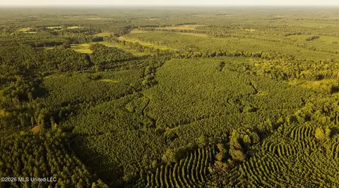 Co Rd 4300, Union, MS 39365 photo 51