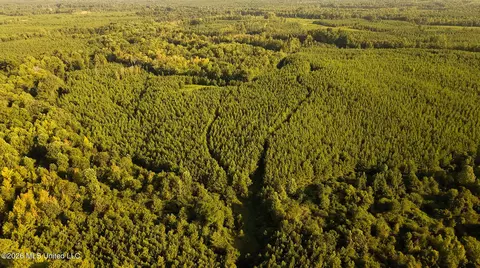 Co Rd 4300, Union, MS 39365 photo 29