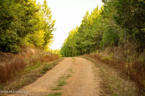 Co Rd 4300, Union, MS 39365 photo 10