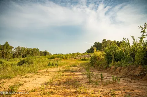 Co Rd 4300, Union, MS 39365 photo 8