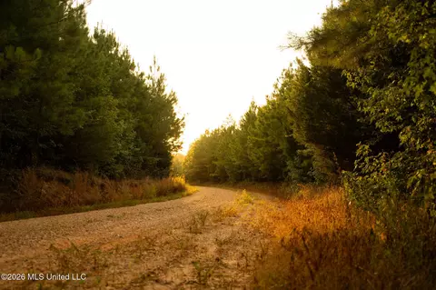 Co Rd 4300, Union, MS 39365 photo 52