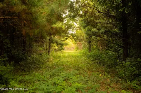 Co Rd 4300, Union, MS 39365 photo 54