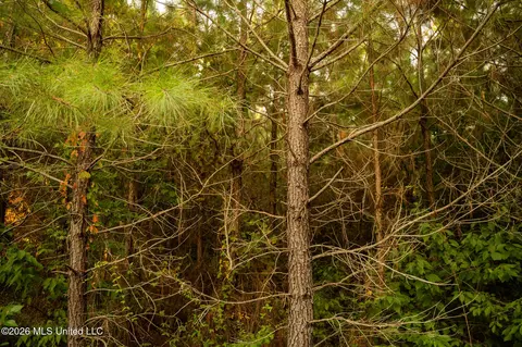 Co Rd 4300, Union, MS 39365 photo 24