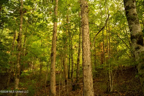 Co Rd 4300, Union, MS 39365 photo 42