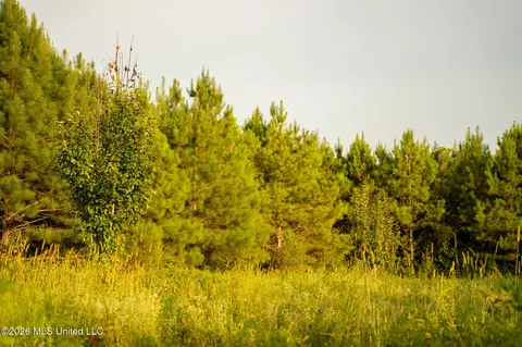 Co Rd 4300, Union, MS 39365 photo 38
