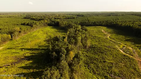 Co Rd 4300, Union, MS 39365 photo 47