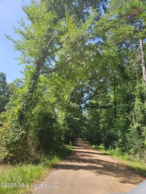 Log Cabin Road, Roxie, MS 39661 photo 3