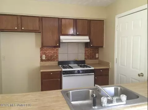 1520 Cedar Pine Dr, Jackson, MS 39212 photo 4