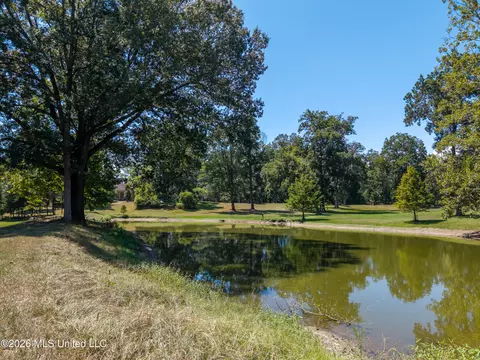 Other - 8 Freedom Rd, Natchez, MS 39120 photo 3 of 6