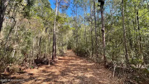 Old Hwy 49, Saucier, MS 39574 photo 7
