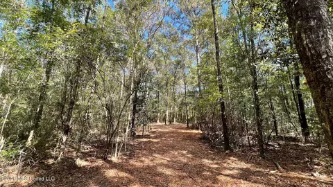Old Hwy 49, Saucier, MS 39574 photo 8