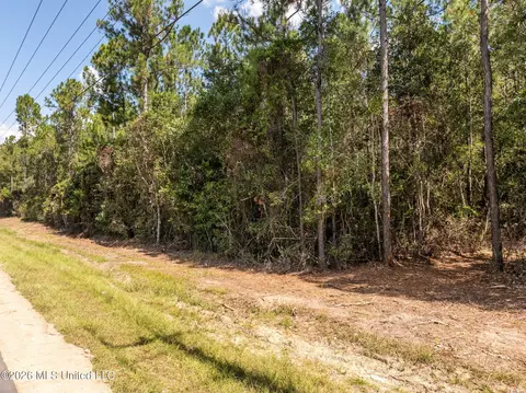 Old Hwy 49, Saucier, MS 39574 photo 10