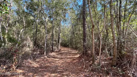 Old Hwy 49, Saucier, MS 39574 photo 6
