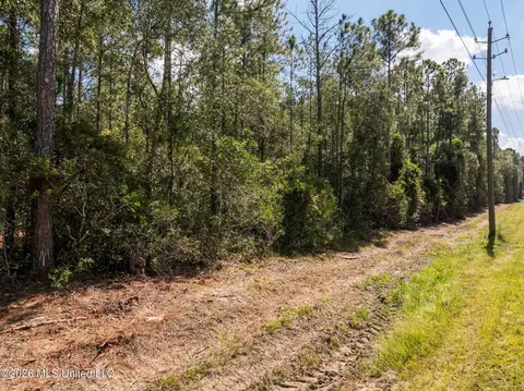 Old Hwy 49, Saucier, MS 39574 photo 9