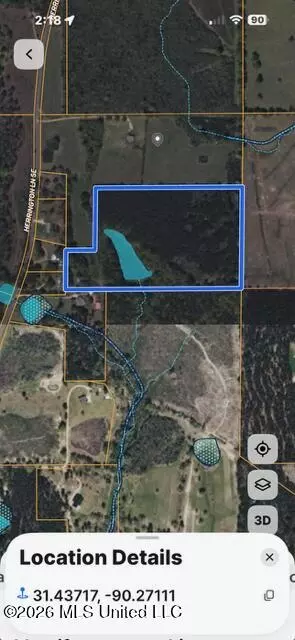 Herrington Lane, Ruth, MS 39662 photo 4