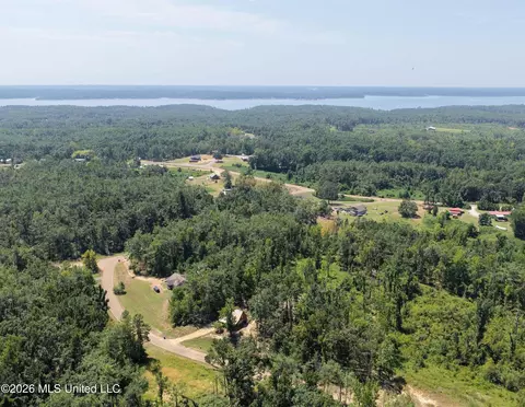 View/Area - 203 Pine Rdg, Pope, MS 38658 photo 1 of 2