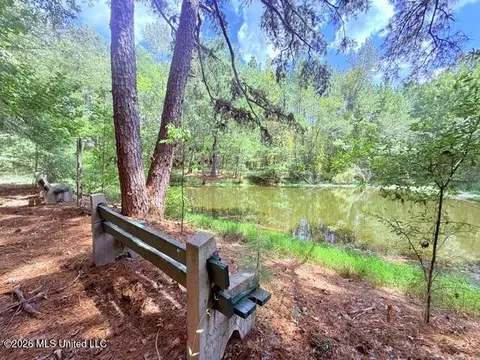 View/Area - 3751 Mound Rd, Wesson, MS 39191 photo 1 of 9