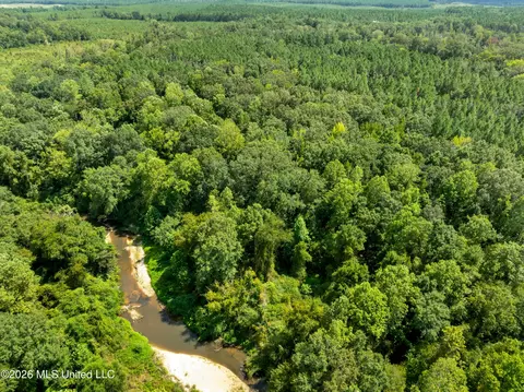 View/Area - 3751 Mound Rd, Wesson, MS 39191 photo 5 of 9
