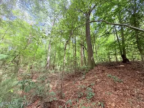 Other - 3751 Mound Rd, Wesson, MS 39191 photo 24 of 31