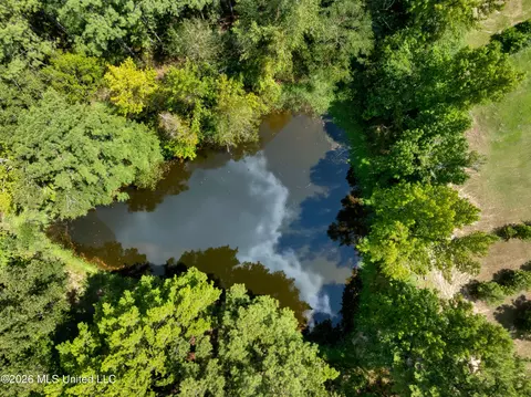 View/Area - 3751 Mound Rd, Wesson, MS 39191 photo 2 of 9