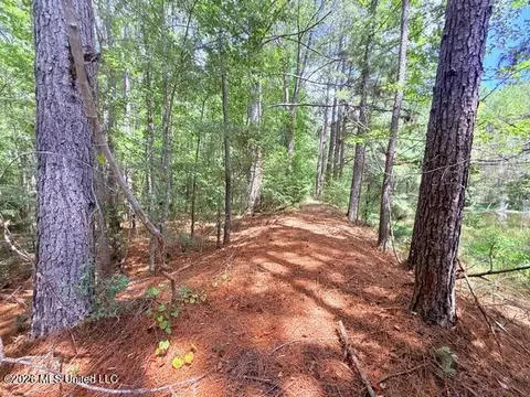 Other - 3751 Mound Rd, Wesson, MS 39191 photo 17 of 31