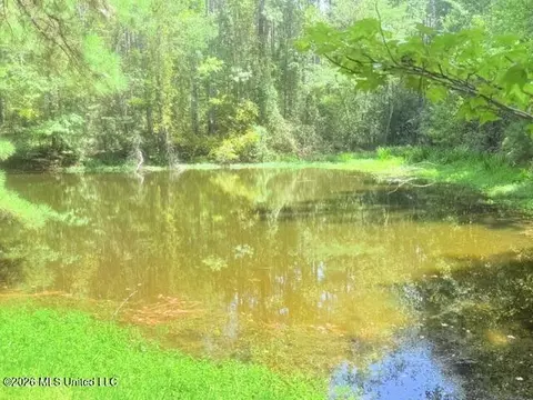 Other - 3751 Mound Rd, Wesson, MS 39191 photo 18 of 31