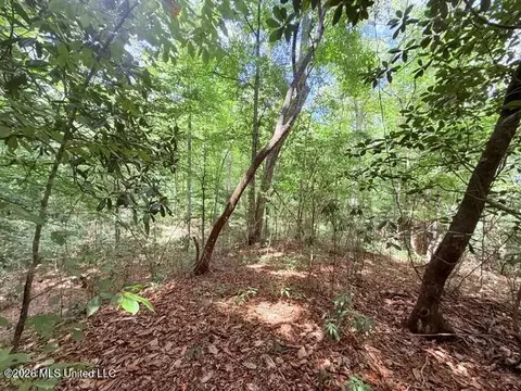 Other - 3751 Mound Rd, Wesson, MS 39191 photo 23 of 31