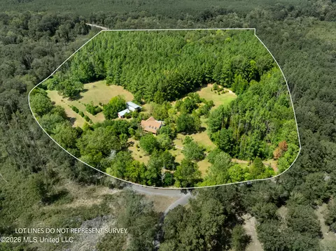 View/Area - 3751 Mound Rd, Wesson, MS 39191 photo 6 of 9