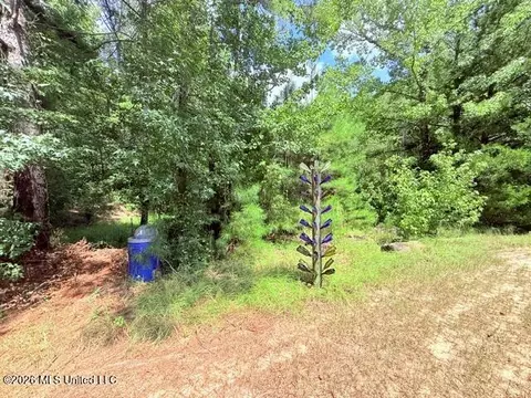 Exterior - 3751 Mound Rd, Wesson, MS 39191 photo 12 of 14