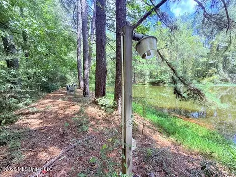 Other - 3751 Mound Rd, Wesson, MS 39191 photo 19 of 31
