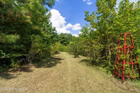 Exterior - 3751 Mound Rd, Wesson, MS 39191 photo 11 of 14