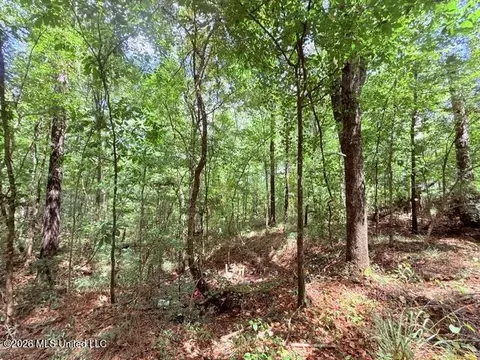 Other - 3751 Mound Rd, Wesson, MS 39191 photo 21 of 31