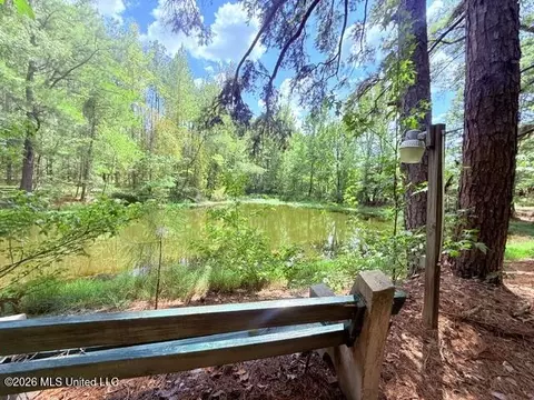 Other - 3751 Mound Rd, Wesson, MS 39191 photo 20 of 31